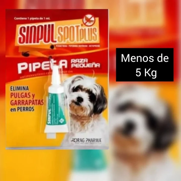 Mascotas